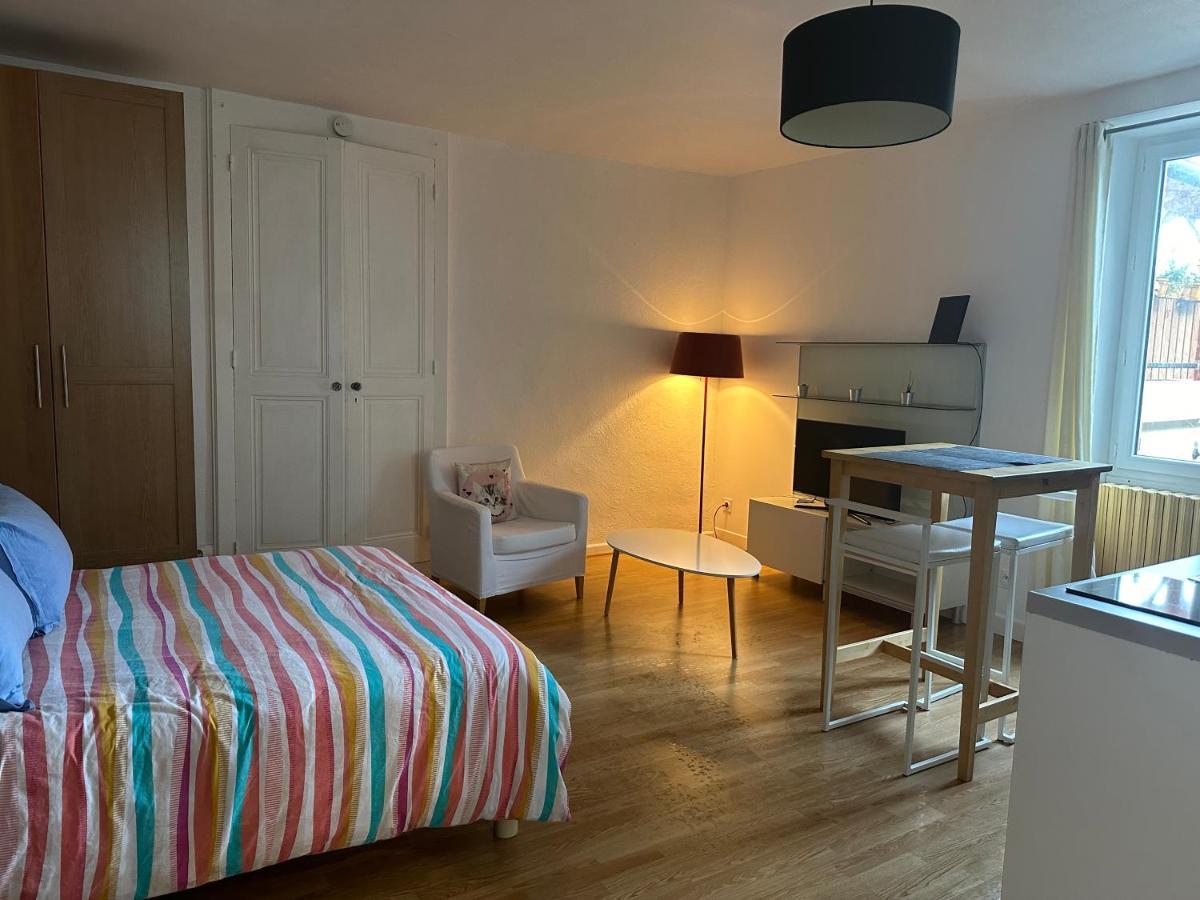 Studio A Noyarey Avec Wifi Екстер'єр фото